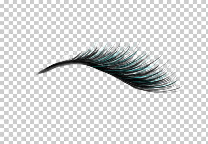 Eyelash Extensions Artificial Hair Integrations PNG, Clipart, Avatan Plus, Eyebrow, Eyelash, Eyelash Extensions, Feather Free PNG Download