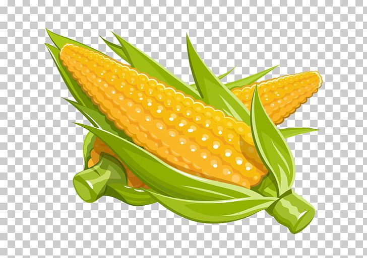 Maize Euclidean Illustration PNG, Clipart, Cartoon Corn, Caryopsis, Commodity, Corn, Corn Cartoon Free PNG Download