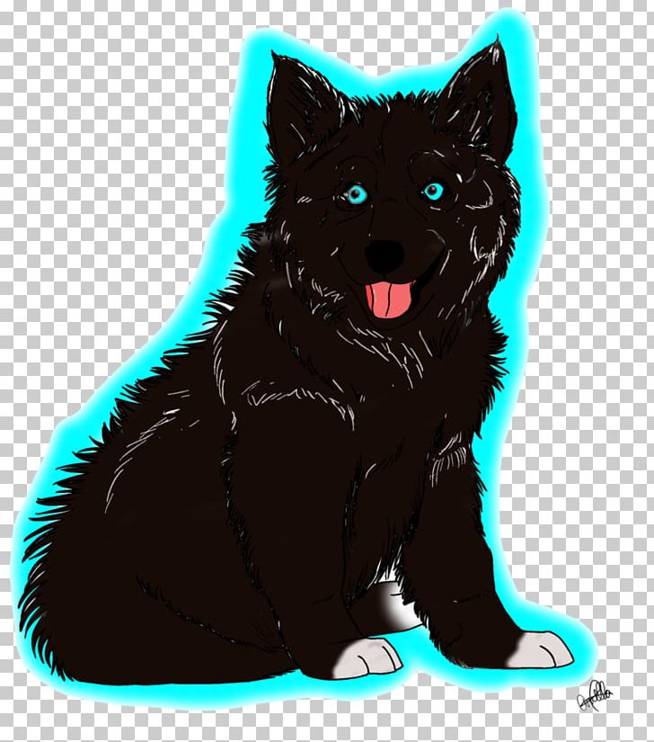 Schipperke Black Cat Whiskers Dog Breed PNG, Clipart, Black, Black Cat, Breed, Carnivoran, Cat Free PNG Download