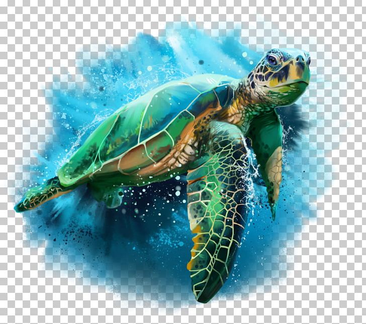 Turtle Drawing Watercolor Painting Cheloniidae PNG, Clipart, Animal, Animals, Blue Sea, Cheloniidae, Drawing Free PNG Download