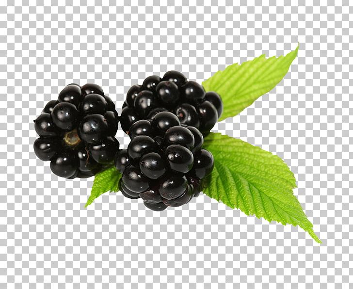 Raspberry Fruit Blueberry Auglis PNG, Clipart, Auglis, Bilberry, Blueberry, Cho, Food Free PNG Download