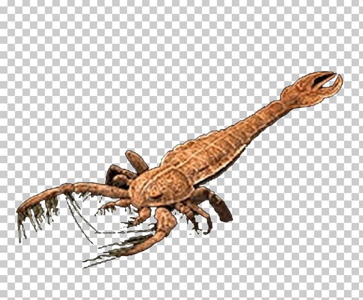 Scorpion Pterygotus Jaekelopterus Arthropod Millipede PNG, Clipart, Animal, Animal Figure, Arthropleura, Arthropod, Decapoda Free PNG Download