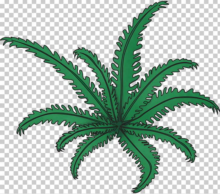 Cannabaceae Vascular Plant Leaf Flowerpot PNG, Clipart, Cannabaceae, Family, Flowerpot, Food Drinks, Hemp Free PNG Download