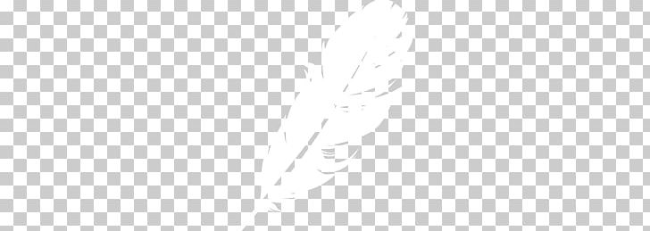 Feather PNG, Clipart, Feather Free PNG Download