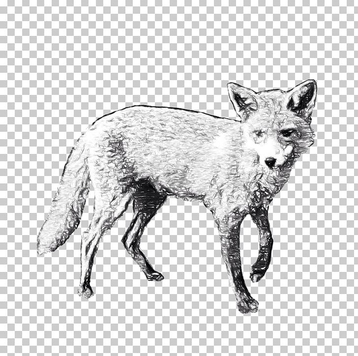 Red Fox Paper Post Cards Zazzle PNG, Clipart, Art, Black And White, Carnivoran, Christmas Card, Clothing Free PNG Download