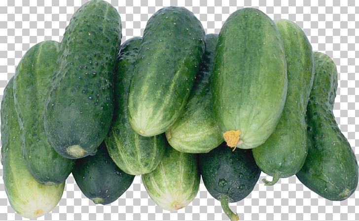 Pickled Cucumber Cultivar Vegetable Brined Pickles PNG, Clipart, Berry, Brined Pickles, Cucumber, Cucumber Gourd And Melon Family, Cucumis Free PNG Download