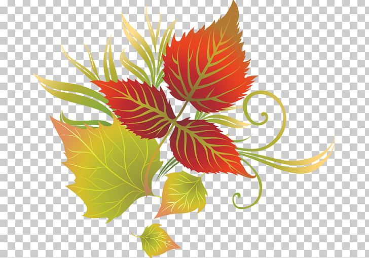 Maple Leaf PNG, Clipart, Download, Flora, Floral Design, Flower, Flowering Plant Free PNG Download