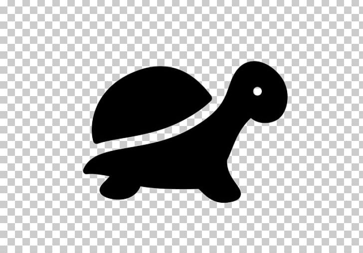 Turtles All The Way Down Looking For Alaska Young Adult Fiction Book The Tortoise And The Hare PNG, Clipart, Author, Black, Black And White, Book, Bookcase Free PNG Download