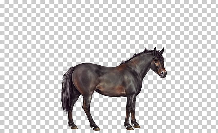 Horse Rein Stallion Equestrian PNG, Clipart, Bridle, Depositphotos, Equestrian, Halter, Horse Free PNG Download