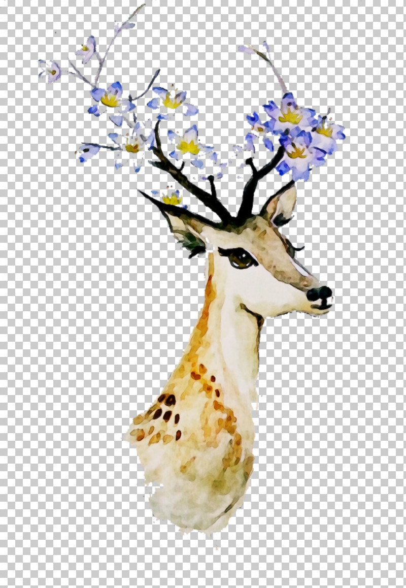 Deer Plant Branch Wildlife Fawn PNG, Clipart, Branch, Deer, Fawn, Paint, Plant Free PNG Download