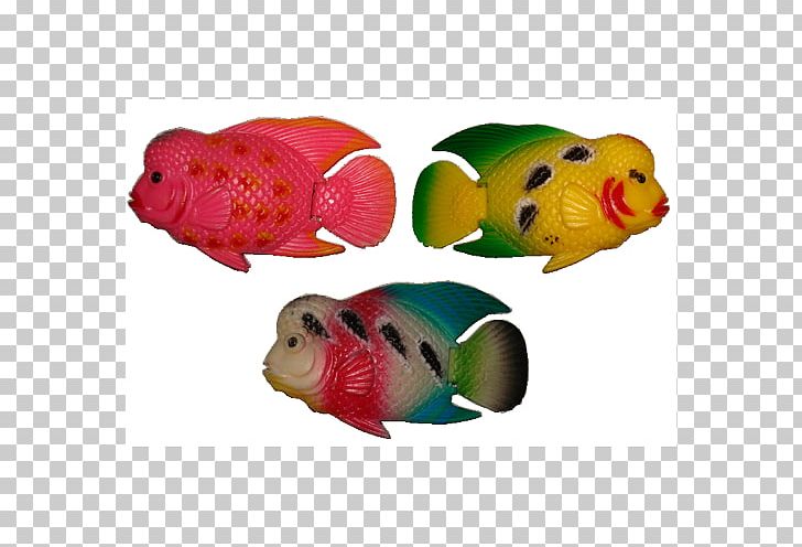 Flowerhorn Cichlid Siamese Fighting Fish Aquarium Goldfish PNG, Clipart, Animals, Aquarium, Aquarium Fish Feed, Aquascaping, Beijing And Decoration Free PNG Download