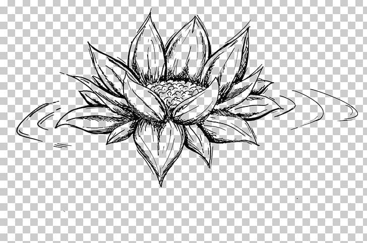 Line Art Symmetry Sketch PNG, Clipart, Artwork, Black And White, Drawing, Flora, Flower Free PNG Download