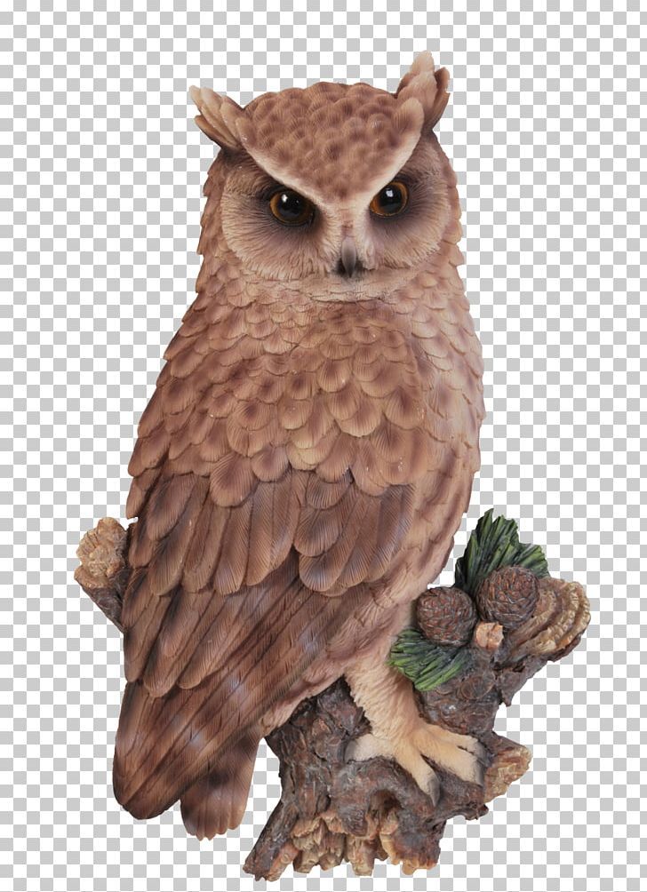 Long-eared Owl Tawny Owl Short-eared Owl Little Owl PNG, Clipart, Animals, Beak, Bird, Bird Of Prey, Color Free PNG Download