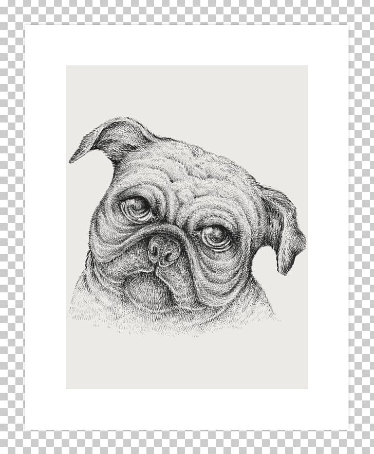 Pug Puppy Dog Breed Drawing Sketch PNG, Clipart, Animals, Art, Art Print, Carnivoran, Dog Free PNG Download