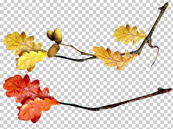 Twig Leaf Autumn PNG, Clipart, Autumn, Autumn Leaf Color, Branch, Desktop Wallpaper, Flora Free PNG Download