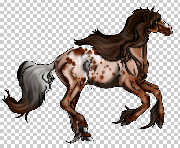 Mustang Foal Stallion Colt Mare PNG, Clipart,  Free PNG Download