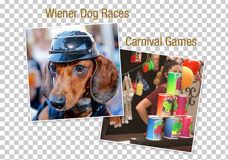 Old World German Restaurant Oktoberfest Dog Pet Party PNG, Clipart, Advertising, Animal, Breed, Canidae, Dachshund Racing Free PNG Download