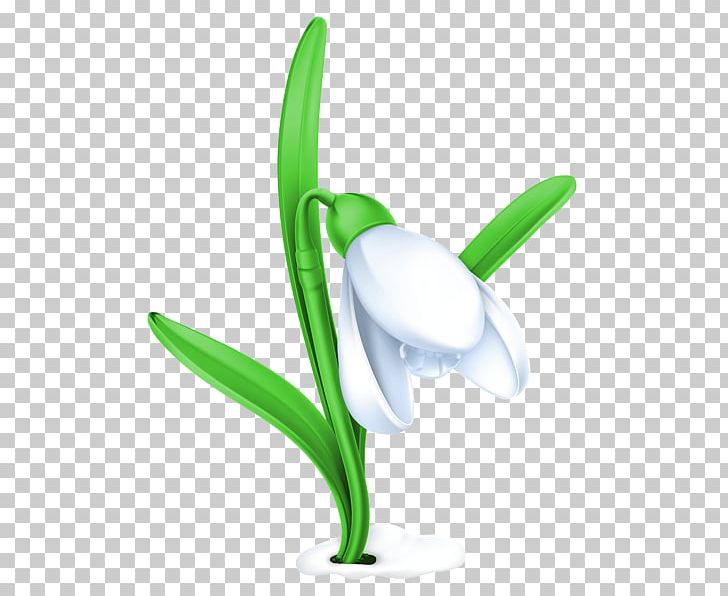 Snowdrop PNG, Clipart, Chart, Computer Icons, Data Compression, Diagram, Drawing Free PNG Download