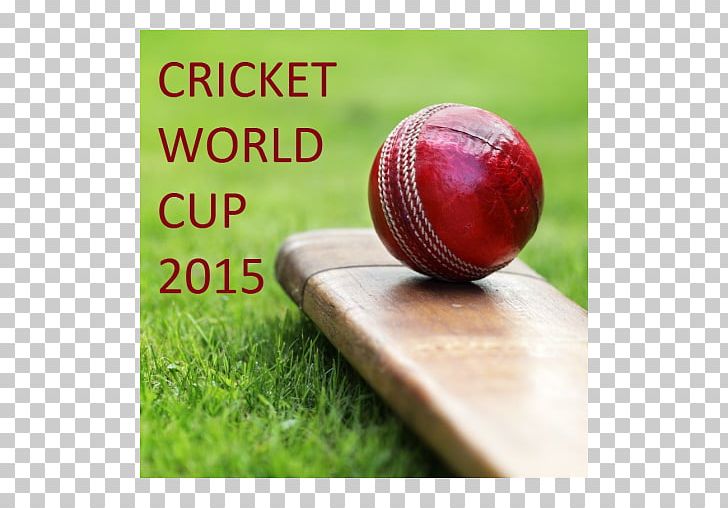 2015 Cricket World Cup India National Cricket Team ICC Champions Trophy Sport PNG, Clipart,  Free PNG Download