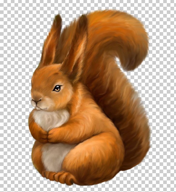 Domestic Rabbit Rodent Tree Squirrel Chipmunk PNG, Clipart, American Red Squirrel, Animal, Chipmunk, Domestic Rabbit, Drawing Free PNG Download