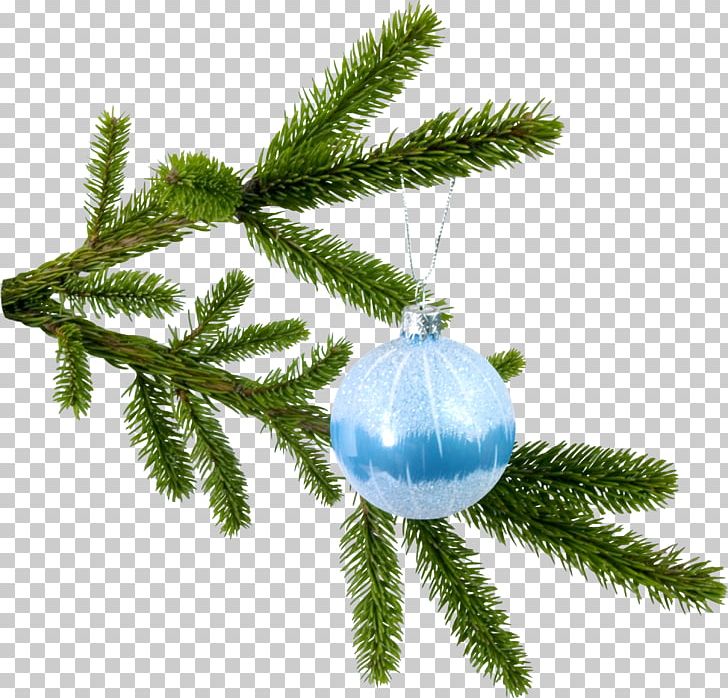 New Year Tree Spruce Christmas Branch PNG, Clipart, Branch, Chr, Christmas Decoration, Christmas Ornament, Christmas Tree Free PNG Download