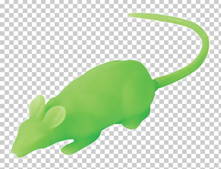 Rat Reptile Fauna Amphibians Product Design PNG, Clipart, Amphibian, Amphibians, Animal, Animal Figure, Carnivoran Free PNG Download