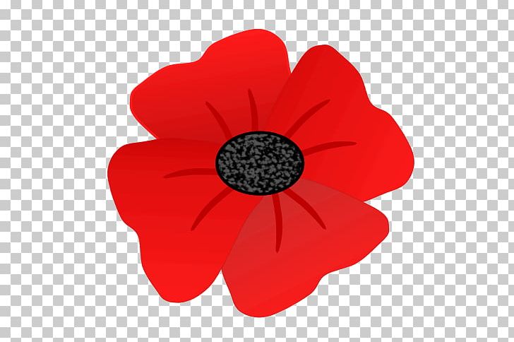Remembrance Poppy PNG, Clipart, Armistice Day, Blog, Drawing, Flickr, Flower Free PNG Download
