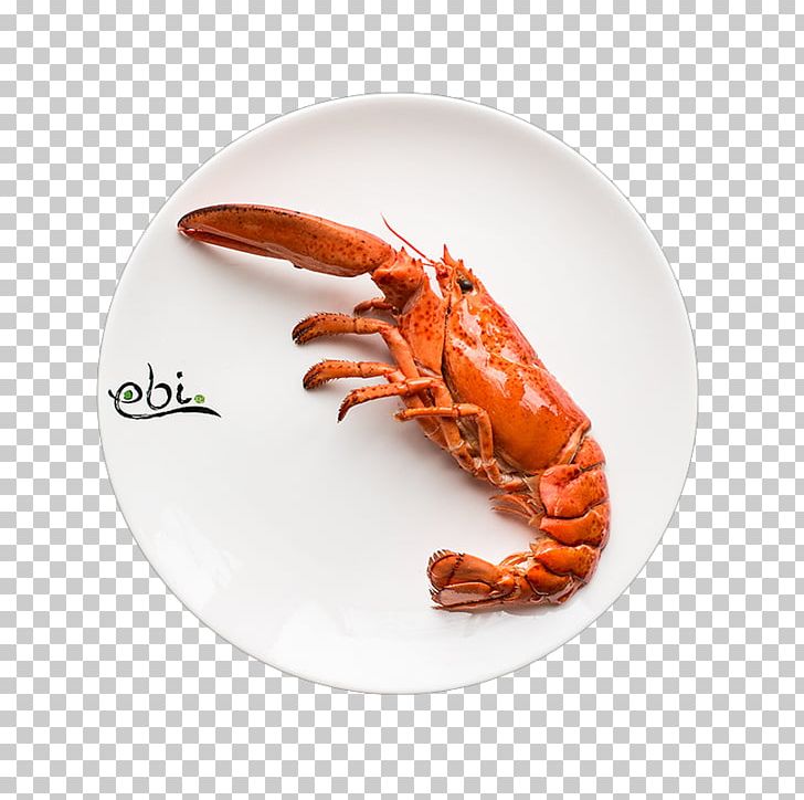 American Lobster European Lobster Dungeness Crab Teppanyaki Restaurant Ebi 7 PNG, Clipart, American Lobster, Animal Source Foods, Crab, Crab Meat, Crustacean Free PNG Download