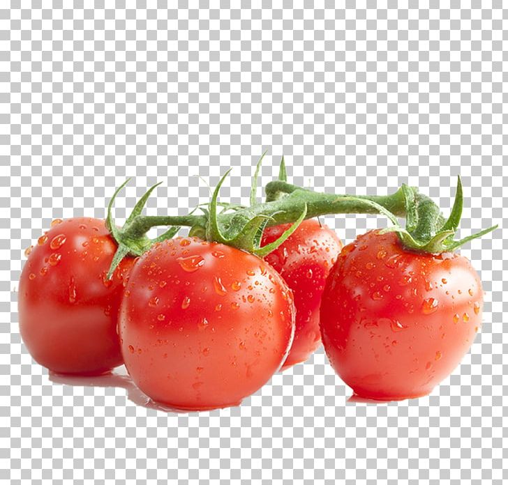 Cherry Tomato Lycopene Tomato Paste Tomato Extract Fruit PNG, Clipart, Cherry, Creative, Food, Natural Foods, Nightshade Family Free PNG Download