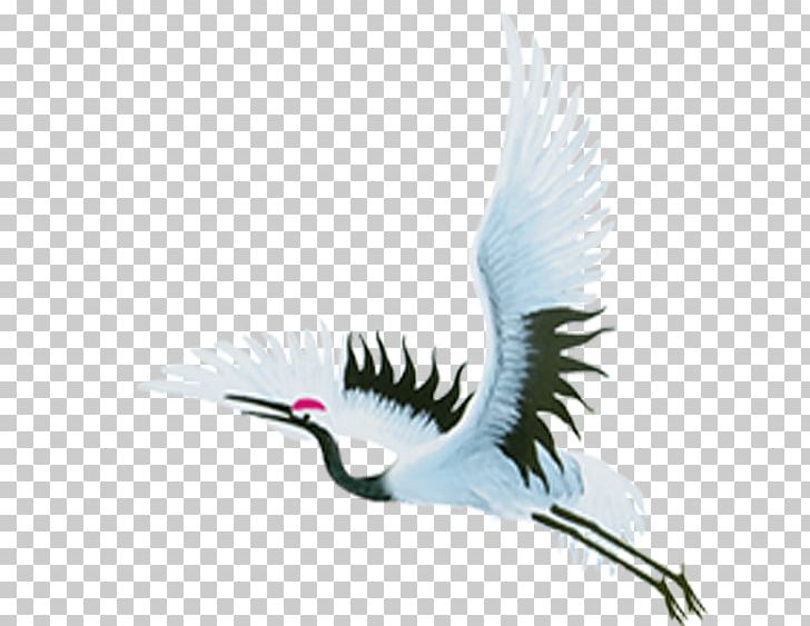 Flight Crane PNG, Clipart, Animation, Beak, Bird, Clip Art, Crane Free PNG Download