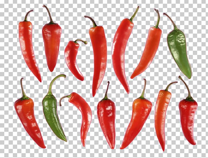 Habanero Piquillo Pepper Serrano Pepper Bird's Eye Chili Jalapeño PNG, Clipart,  Free PNG Download