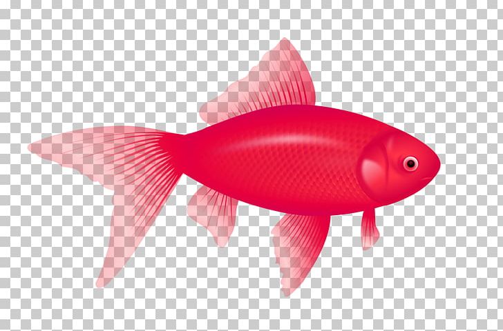 Redfish PNG, Clipart, Animals, Arama, Bony Fish, Fin, Fish Free PNG Download