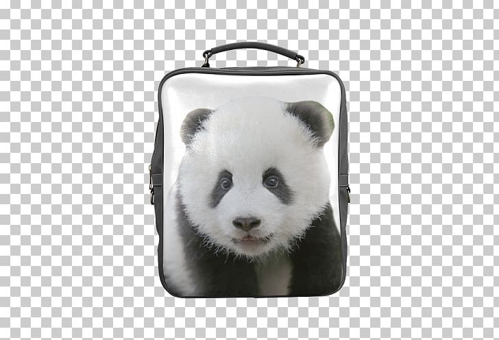 Giant Panda Red Panda Samsung Galaxy S8 Bag Backpack PNG, Clipart, Ailuropoda, Backpack, Backpack Panda, Bag, Bear Free PNG Download
