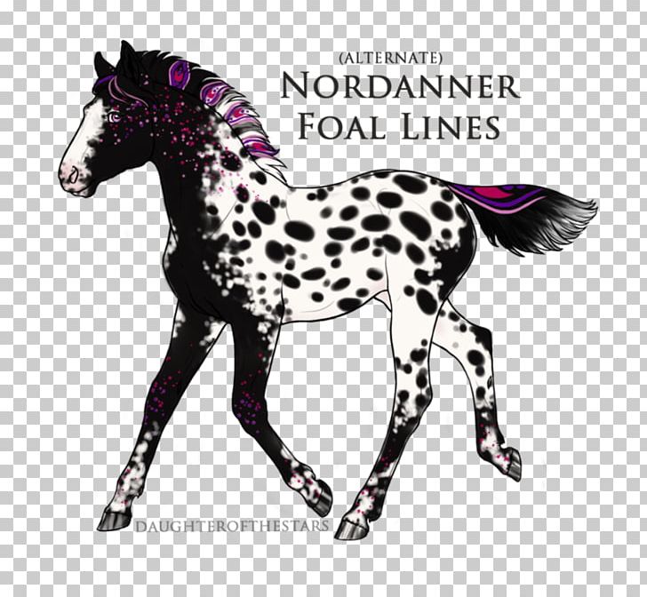 Stallion Mustang Foal Colt Pony PNG, Clipart,  Free PNG Download