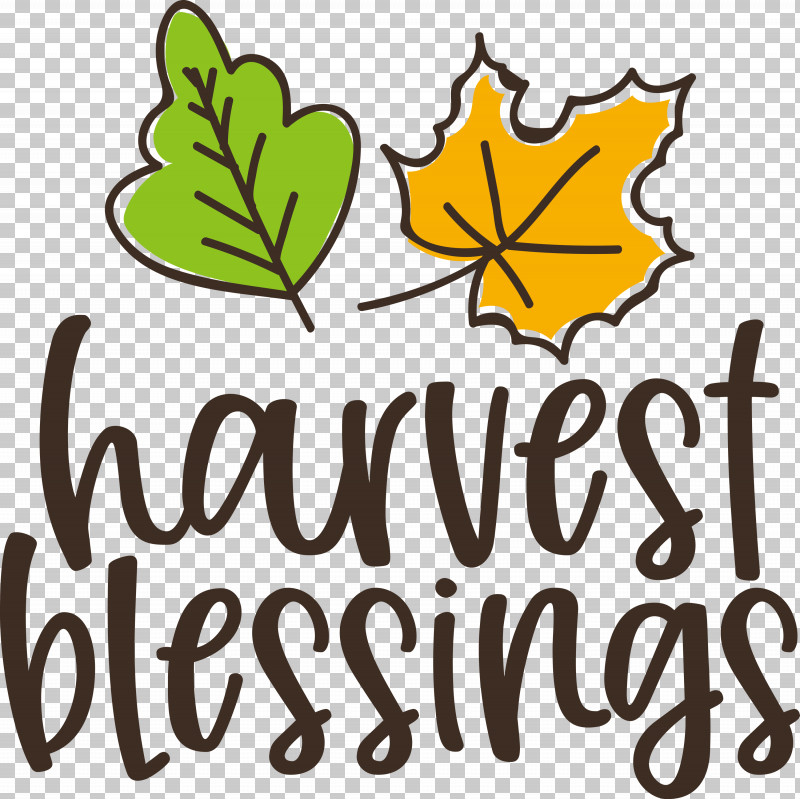 Harvest Thanksgiving Autumn PNG, Clipart, Autumn, Biology, Branching, Flower, Fruit Free PNG Download