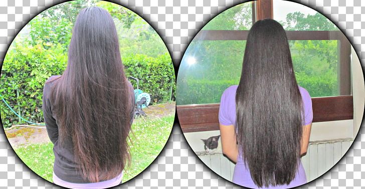 Chestnut Hair Coloring Long Hair Henna PNG, Clipart, Art, Black, Black Hair, Brown, Brown Hair Free PNG Download