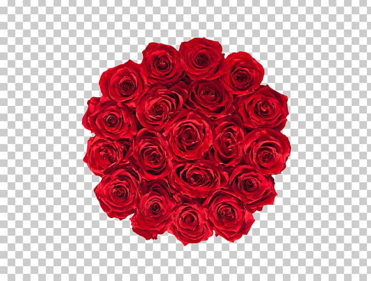 Garden Roses Cut Flowers Red PNG, Clipart,  Free PNG Download