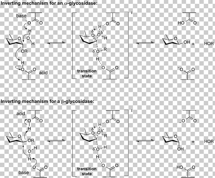 Homogeneous Catalysis Acid Catalysis Enzyme Document PNG, Clipart, Acid, Acid Catalysis, Angle, Area, Black And White Free PNG Download