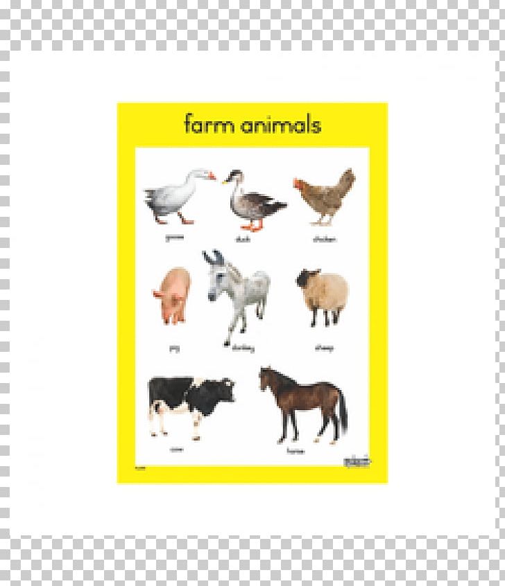 pet animals chart