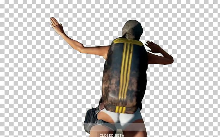 PlayerUnknown's Battlegrounds Garena Free Fire Flight PNG, Clipart, Flight, Free Fire, Garena, Others Free PNG Download