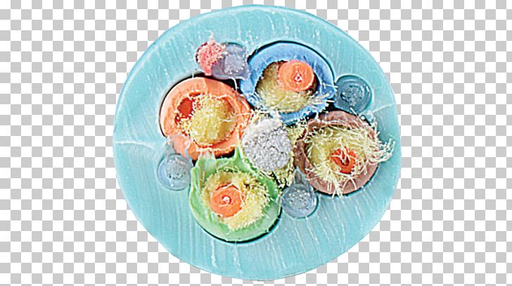Recipe Mitsui Cuisine M PNG, Clipart, Cuisine, Dishware, Food, Mitsui Cuisine M, Plate Free PNG Download
