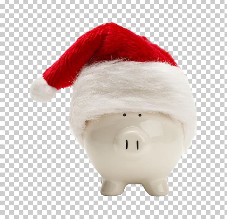 Santa Claus Domestic Pig Piggy Bank Christmas PNG, Clipart, Bank, Christmas Decoration, Christmas Frame, Christmas Lights, Christmas Ornament Free PNG Download