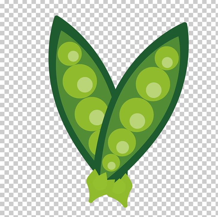 Snow Pea Vegetable PNG, Clipart, Adobe Illustrator, Auglis, Butterfly, Christmas Snow, Encapsulated Postscript Free PNG Download