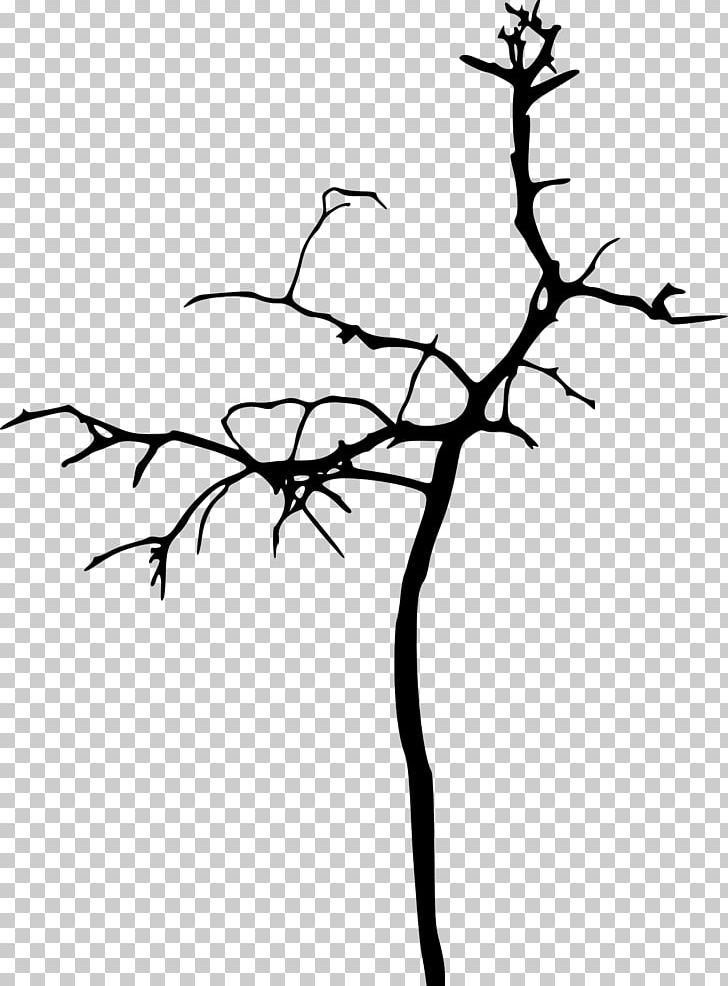 Tree Silhouette Branch Drawing Woody Plant PNG, Clipart, Artwork, Black And White, Branch, Drawing, Flora Free PNG Download