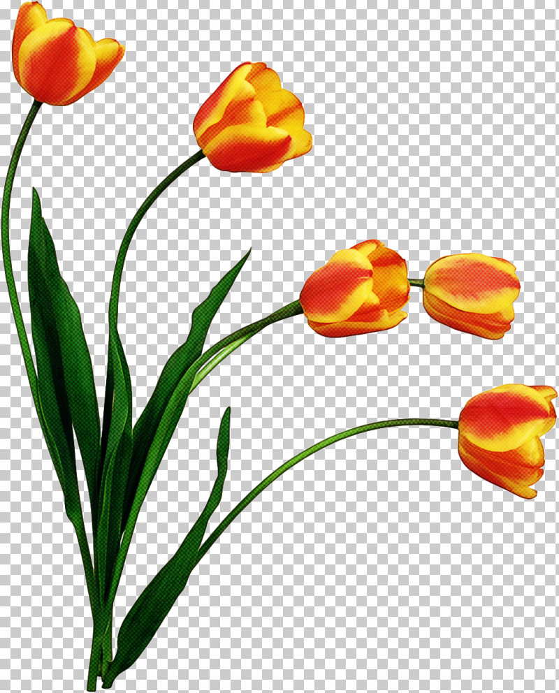 Artificial Flower PNG, Clipart, Artificial Flower, Bud, Cut Flowers, Flower, Lily Family Free PNG Download
