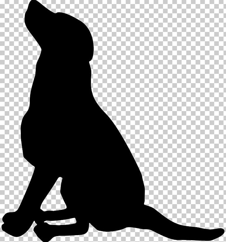 Labrador Retriever Pet Sitting Scotch Collie Greyhound PNG, Clipart, Animals, Black, Black And White, Carnivoran, Cat Free PNG Download
