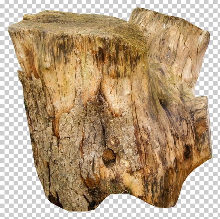 Trunk Tree Stump Wood PNG, Clipart, Artifact, Bark, Bois, Bonsai, Branch Free PNG Download