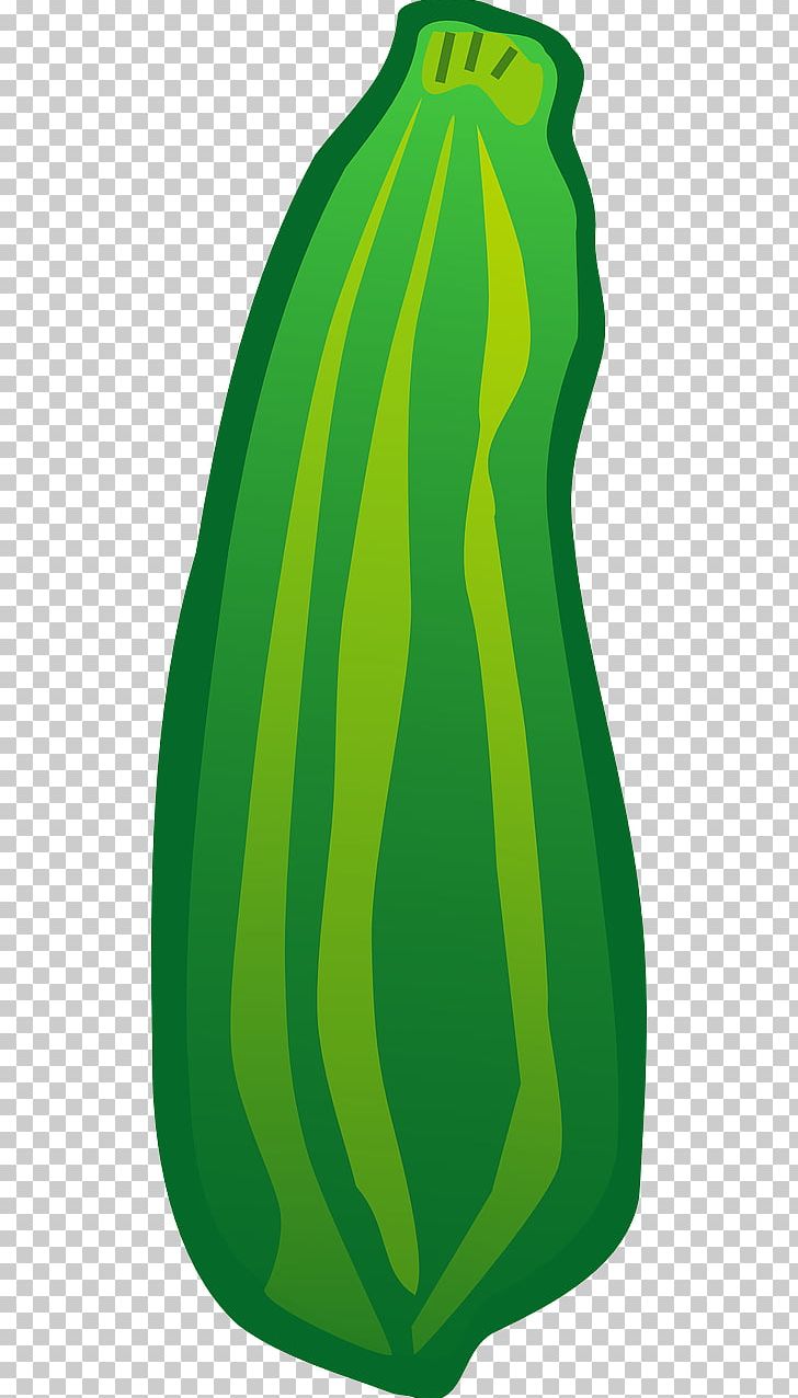 Zucchini Vegetable PNG, Clipart, Bread, Cucumber, Cucurbita, Download, Food Free PNG Download