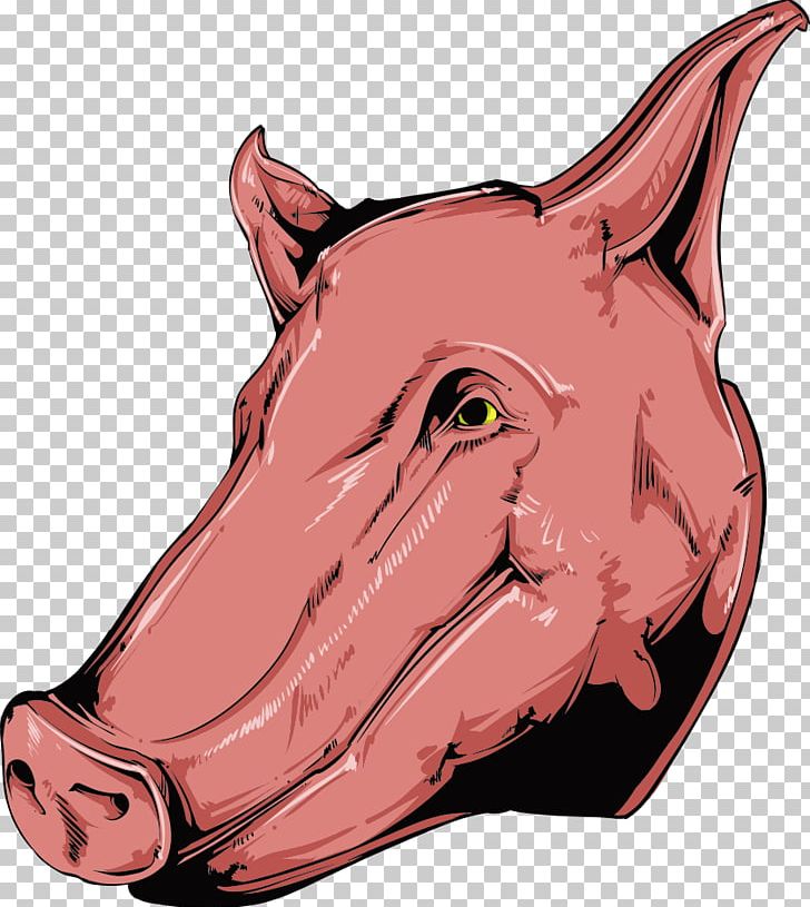Domestic Pig Illustration PNG, Clipart, Animal, Animal Illustration, Animals, Butcher, Cartoon Free PNG Download