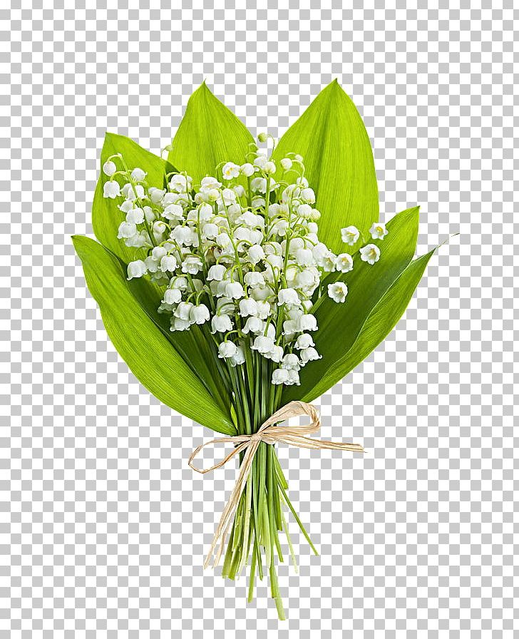 Lily Of The Valley Flower Bouquet Stock Photography PNG, Clipart, Bouquet, Can Stock Photo, Convallaria, Cut Flowers, Floral Design Free PNG Download